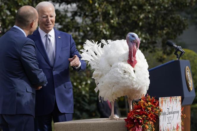 Indory u prezydenta USA! Joe Biden ułaskawił ptactwo