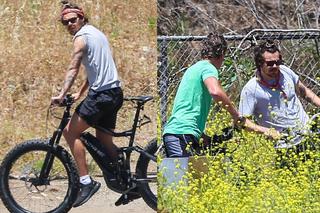 Harry Styles na wycieczce rowerowej z ojcem Kai Gerber! Taki zięć to marzenie Randego!