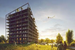 Nietuzinkowy apartamentowiec Żorro już prawie gotowy