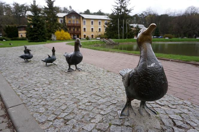 Park Zdrojowy w Nałęczowie 