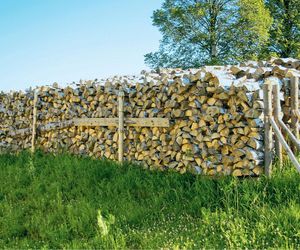 Aktualne ceny drewna opałowego w Polsce - luty 2026. Ile zapłacisz za opał?