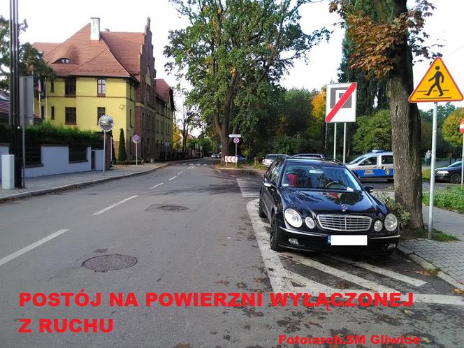 Miszczowie parkowania. Tak się to robi w Gliwicach