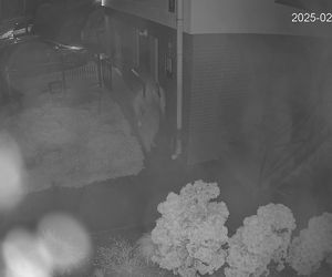 Ktoś rozpylił śmierdzącą substancję na samochód i budynek