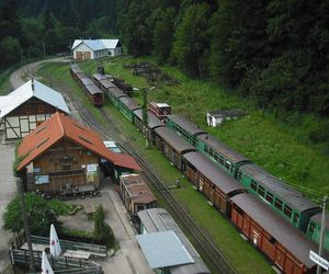 Bieszczadzka Kolejka Leśna 