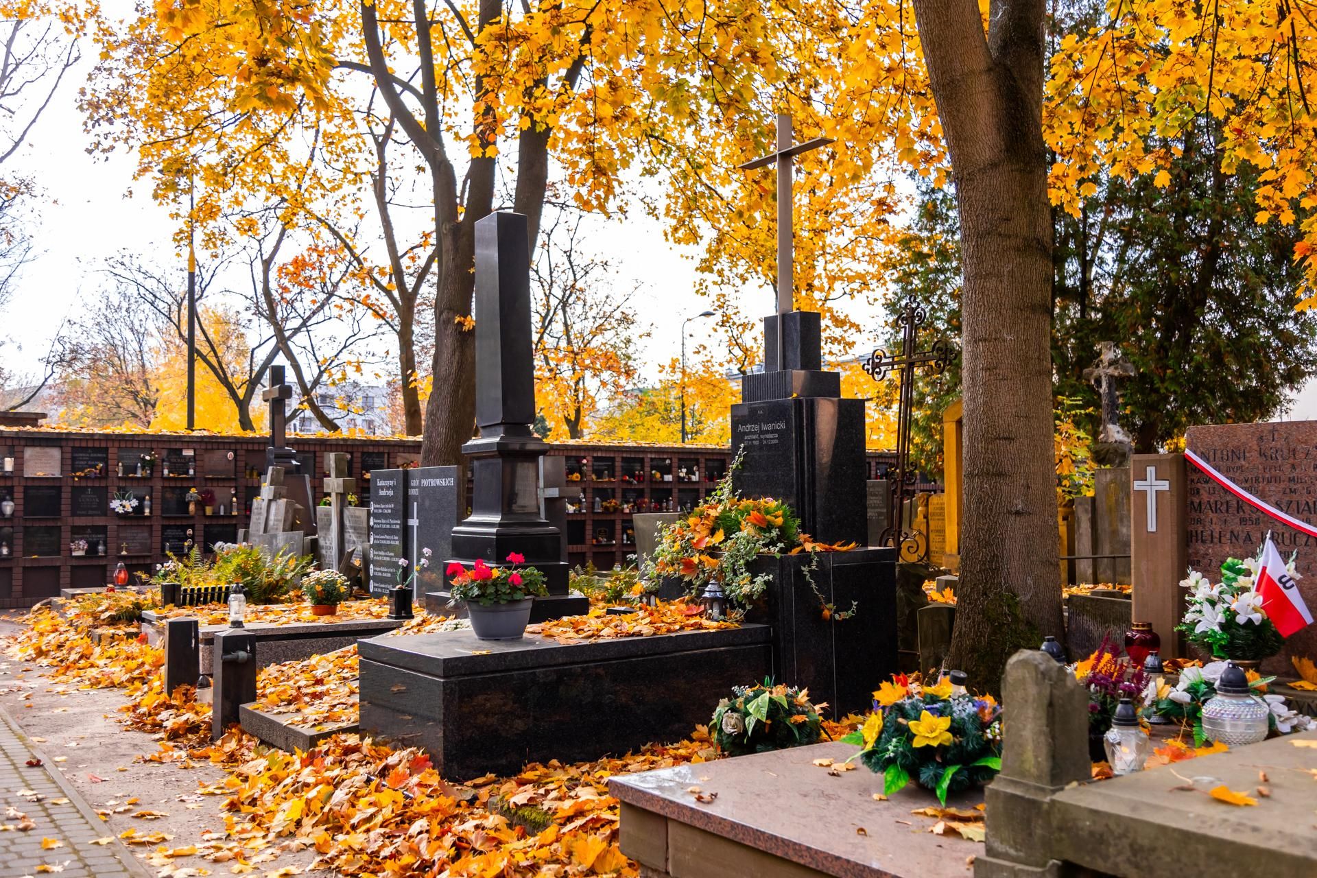 Stare Powązki. Groby architektów