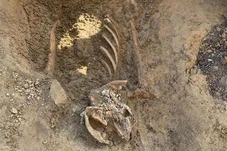 Zwłoki przy rzeszowskim Sądzie