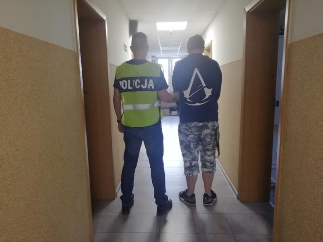 Akcja policji w Aleksandrowie Łódzkim. 27-latek HODOWAŁ MARIHUANĘ na parapecie oraz strychu