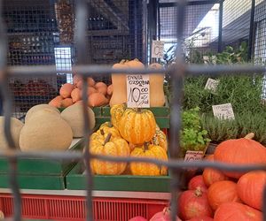 Ceny dyni 2025 na Nowym Kleparzu i Starym Kleparzu w Krakowie