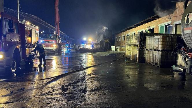 Pożar chlewni pod Piotrkowem Trybunalskim. Ponad 2 tysiące zwierząt zginęło