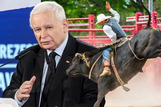 Rodeo na Śląsku oficjalnie odwołane! Jarosław Kaczyński nie mógł tego nie skomentować