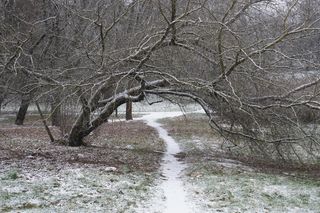 No i przyszła! Zima w Lublinie. Tak wygląda Park Rury