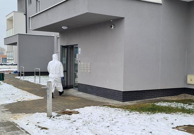 Krwawa masakra w Rzeszowie. Wołała pomocy, gdy dźgał ją nożem kuchennym. Nowe fakty [ZDJĘCIA]