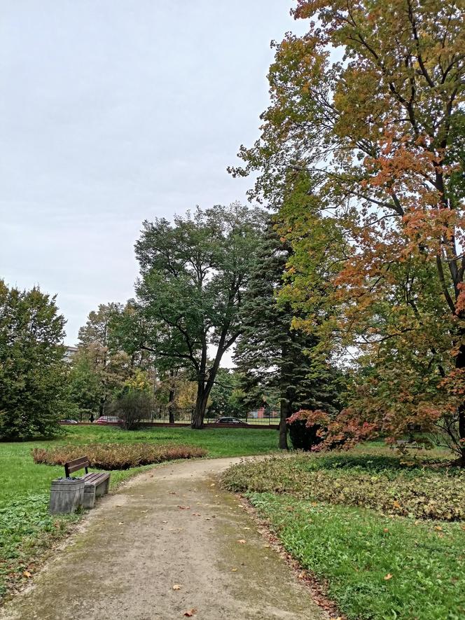 Złota jesień w Poznaniu