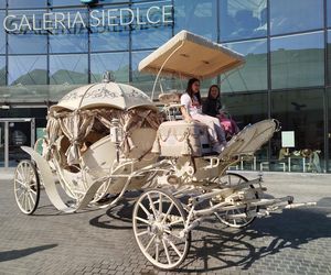 Wydarzenie pod hasłem My Siedlczanki odwiedziły setki, jeśli nie tysiące osób.