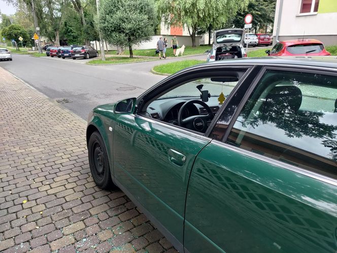 "Wyleciał mi przed maskę"