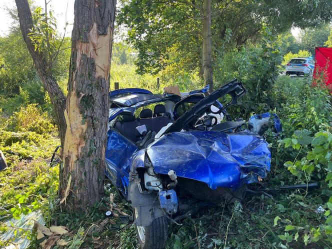 Tragedia pod Oleśnicą. Dwóch młodych mężczyzn zginęło w wypadku. Jechali za szybko