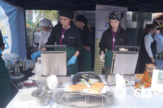 Jarmark Kujawsko-Pomorski 2023 w bydgoskim Myślęcinku 