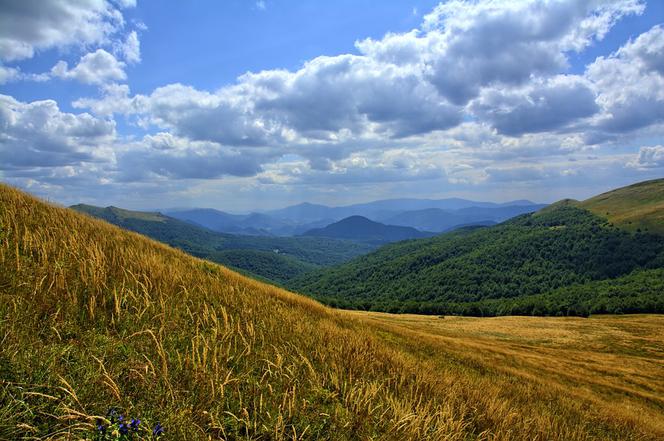 Bieszczady