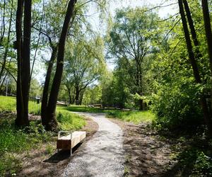 Tak wygląda park w dolinie Ślepiotki w Katowicach