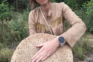 Gigantyczna kania w Łódzkiem