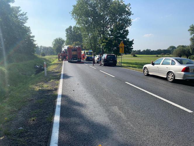 Wypadek pod Gnieznem. Motocyklista reanimowany na drodze