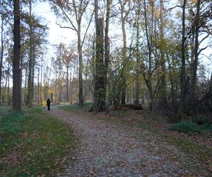 Pałac w Baranowicach jesienią