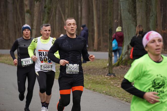 Rekordowy bieg City Trail w bydgoskim Myślęcinku [ZDJĘCIA]