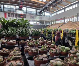 Festiwal Roślin znów zachwycił bydgoszczan! Setki gatunków i wyjątkowa atmosfera