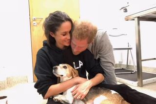  Meghan Markle w żałobie. Wypłakałam tyle łez. Pisze o prysznicu, a ludzie nie mają litości