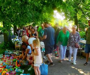 Pchli targ na pl. im. Waleriana Pawłowskiego