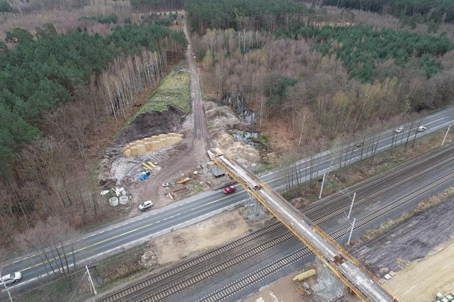 Odcinekdrogi ekspresowej S3 Świnoujście - Dargobądz