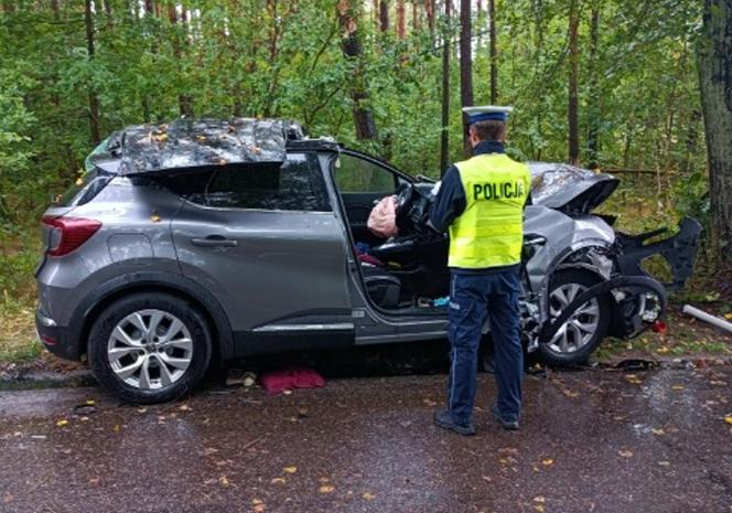 Samochód roztrzaskał się na drzewie na Kaszubach
