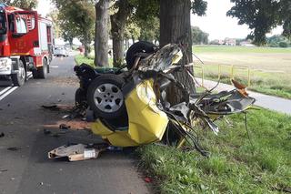 Śmiertelny wypadek pod Świebodzinem. Auto 37- i 32-latka zostało rozerwane na strzępy [ZDJĘCIA].