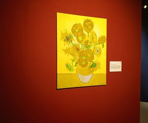 Wystawa VAN GOGH – The Immersive Exhibition w Szczecinie