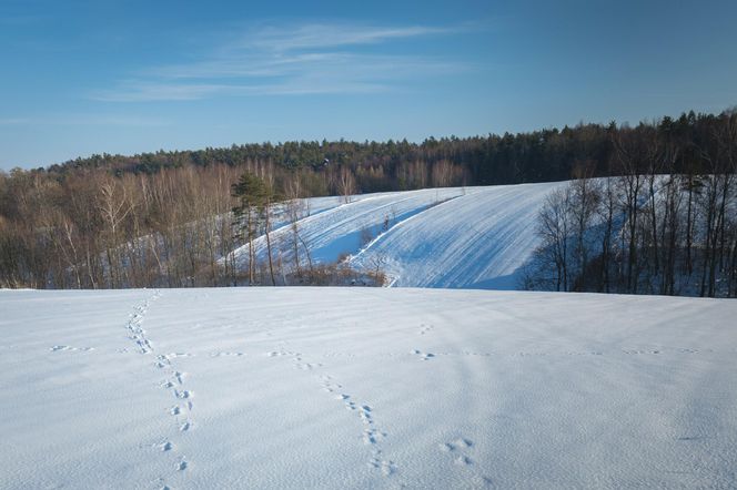 Ferie zimowe nie tylko w górach. Te kierunki także zachwycą zimowymi atrakcjami