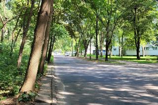 Rusza remont ulicy Wici w Łodzi