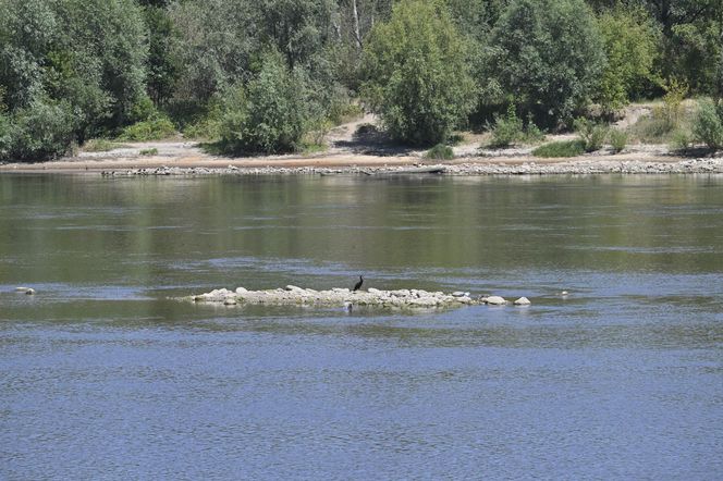 Niski stan wody w Wiśle