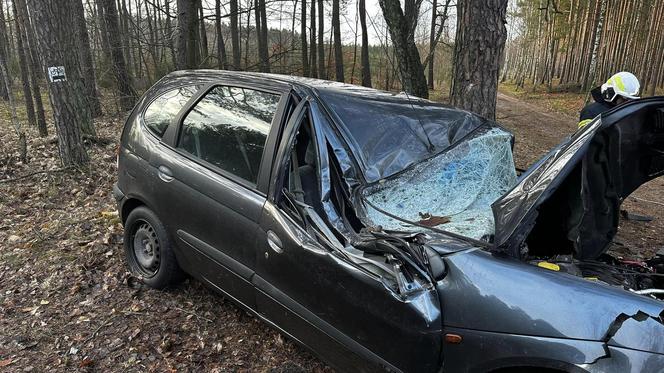 Wypadek na DK 10 w Solcu Kujawskim! Osobówka wypadła z drogi i uderzyła w drzewo [ZDJĘCIA]