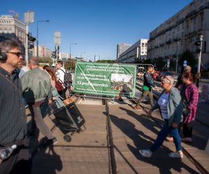 Wielki powrót tramwajów na Marszałkowską. Pojadą po zielonym dywanie