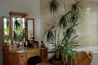 Wysoka roślina doniczkowa w łazience