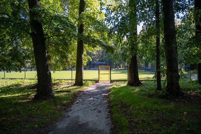 Zabytkowy park pod Lubawą zmienił się nie do poznania. Teraz wygląda jak z bajki