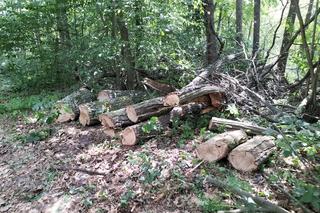 Tragedia na jeziorze. 17-latek się uratował, utonął jego wujek