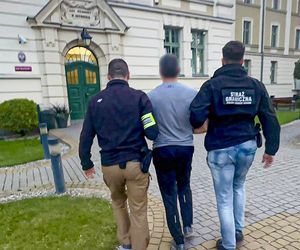 Nielegalna fabryka papierosów zlikwidowana! Milion papierosów w kartonach po pizzy