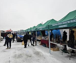 Świąteczny ekologiczny bazarek w Parku Papieskim