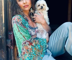 Te psy skradły serca gwiazd! Niektóre wyglądają jak z bajk