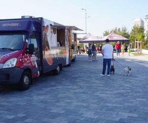 Festiwal Food Trucków w Olsztynie. Pod halą Urania można zjeść dania z kuchni całego świata [ZDJĘCIA]