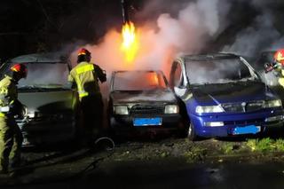 Ktoś podpalił auta należące do Fundacji z Pompą