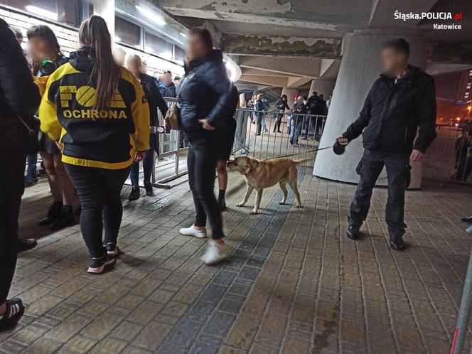 Mayday w Spodku: Zatrzymano 12 osób za posiadanie narkotyków 