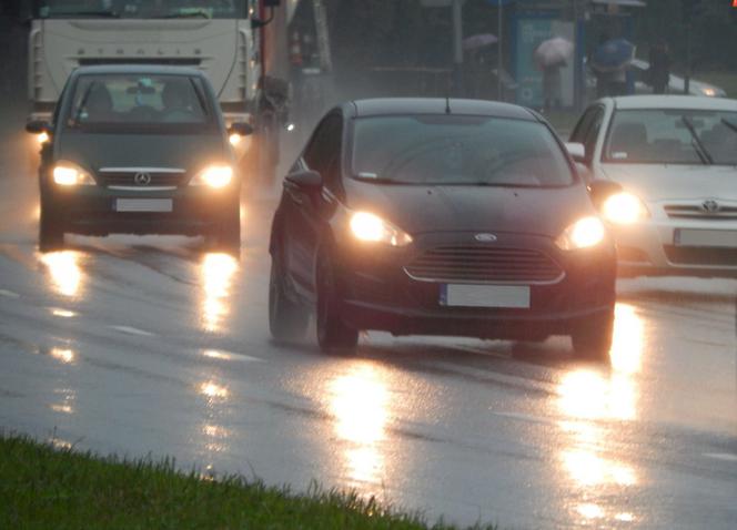 Jesienią śmierć jest bliżej niż myślisz. Te proste sposoby mogą uratować życie