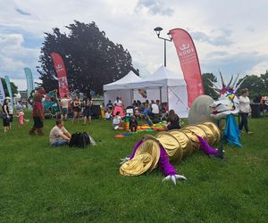 Smoczy Piknik Rodzinny 2025 w Krakowie